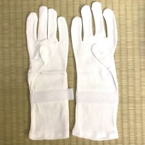 KENDO GLOVES [HASEGAWA] WH