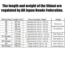 KENDO 5 BULK OVAL SHINAI (size 39)