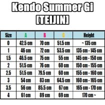 KENDO GI [TEIJIN]