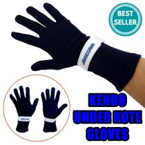 KENDO GLOVES [HASEGAWA] NV