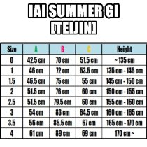 IAI GI SUMMER [TEIJIN]