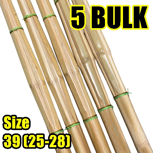 KENDO 5 BULK MADAKE SHINAI (Size 39/25-28)