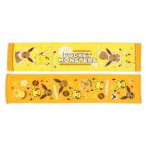 POKEMON FACE TOWEL