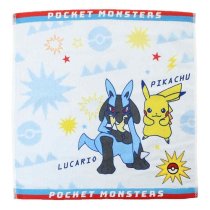 POKEMON HAND TOWEL (PL)