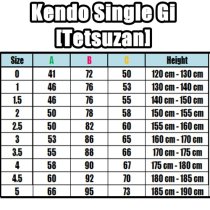 KENDO GI HITOE [TETSUZAN] (White)